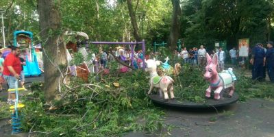 FOTO Doua femei si patru copii, raniti dupa ce o creanga dintr-un copac a cazut peste un loc de joaca in Parcul Cismigiu din Bucuresti